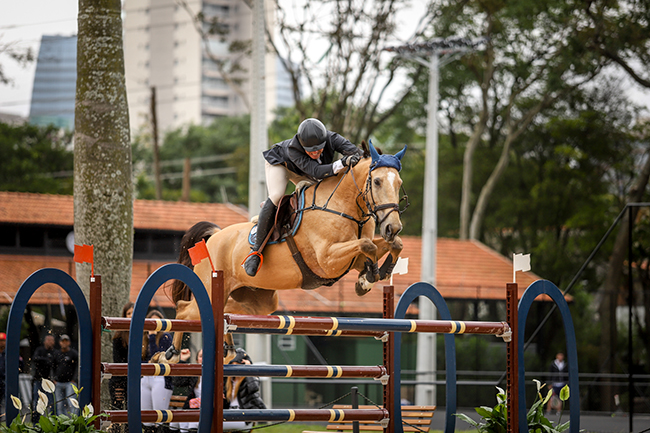 guilherme terceiro0812 650