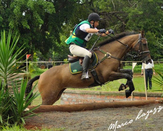 henrique pinheiro650