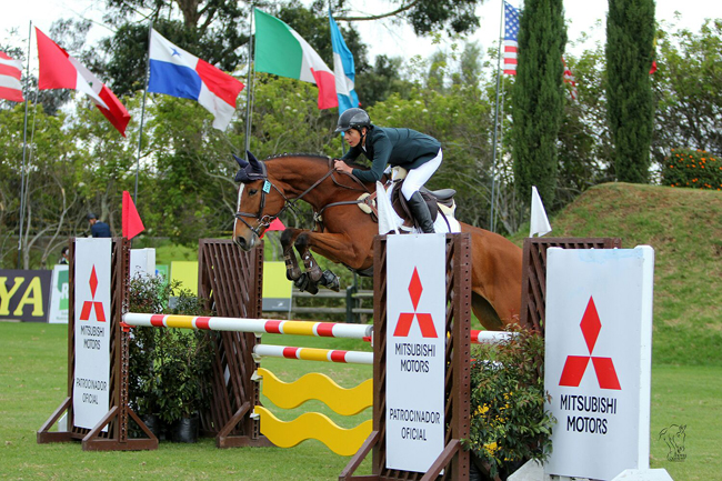 henrique salto02