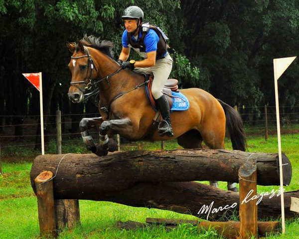 henriquepinheiro600