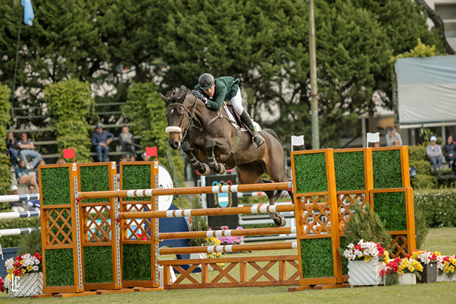 henry hard finalarg650
