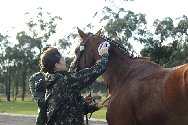 inspecaovet osorio22