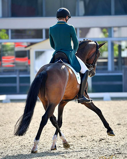 joao hagen550 1006