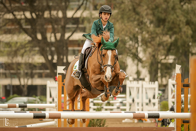 joao marcelo arg650