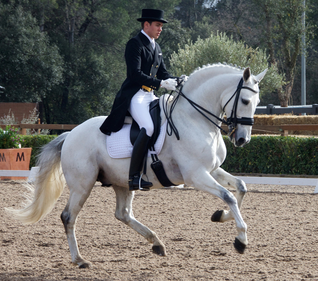 joao oliva650