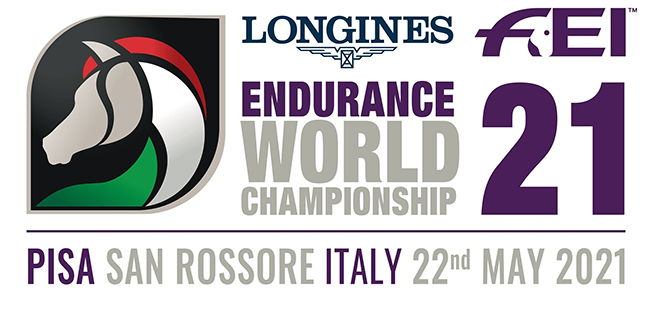 longines enduro6