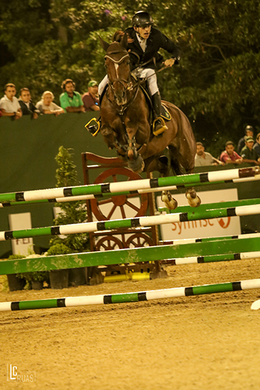 marcelo gozzi 82 550