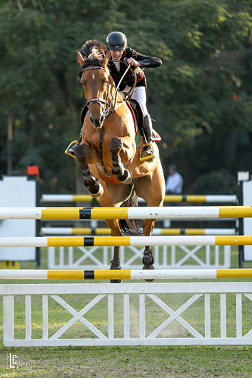 marcelogozziequipe550