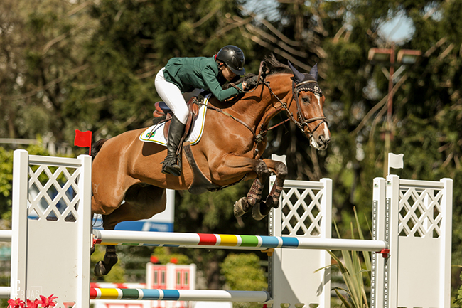 mari scomparini arg650