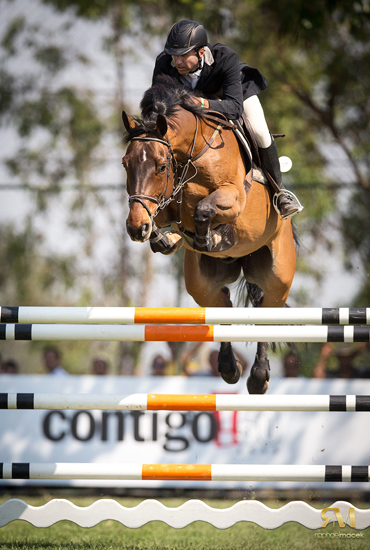 marins550