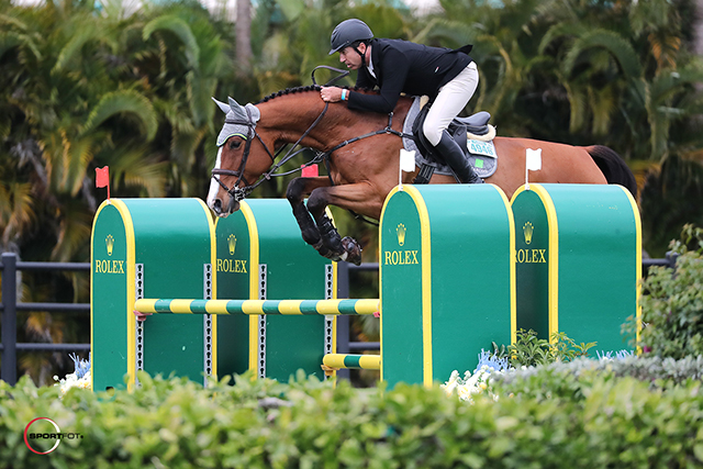 marins 3001 wef650