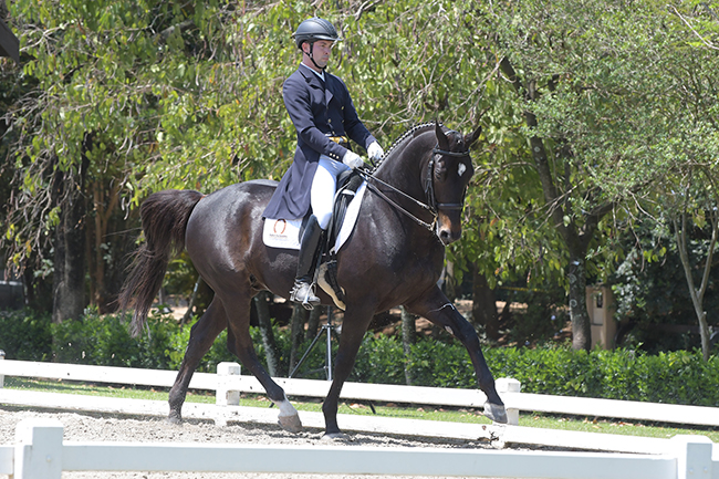 mauro set650
