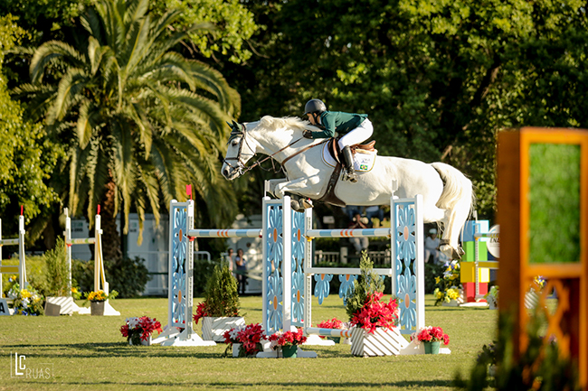 nicolle margeotto arg650