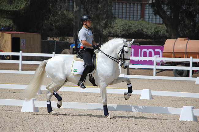 pedro almeida2607 650