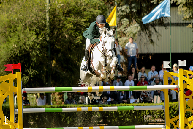 pedro moura carvalho arg650