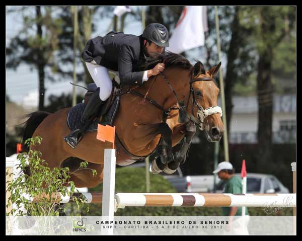pedrosalto grace600