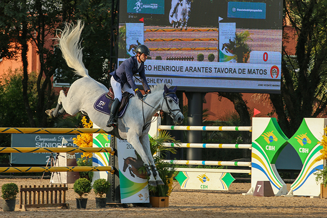 pedrotavora2706