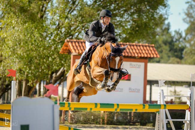 rafael campeao youngrider650 02