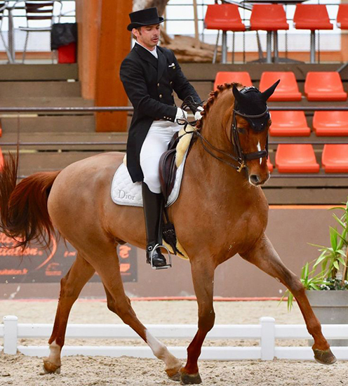 riskalla fei550