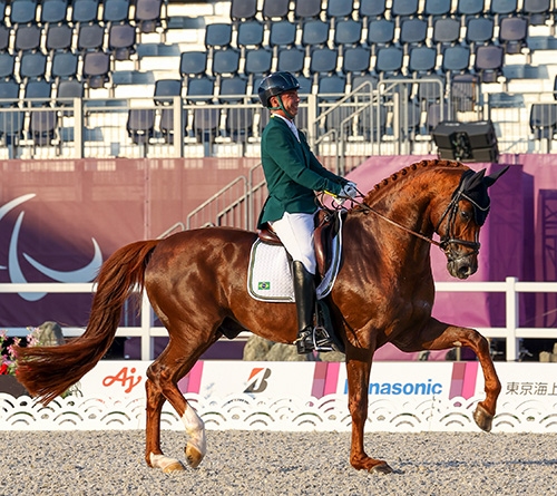 rodolpho3108 1