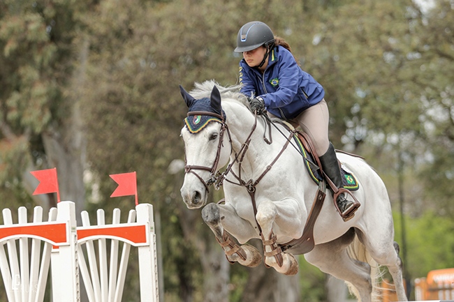salto arg650