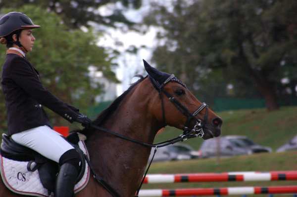 sarah arquivo01 600