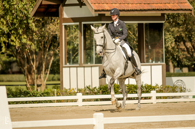 sarahwaddell650