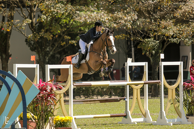 stephanie braga amadortop650