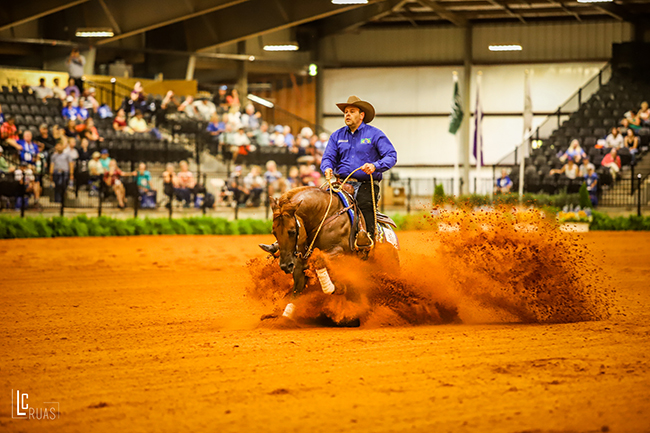 thiago boechat weg2018 650