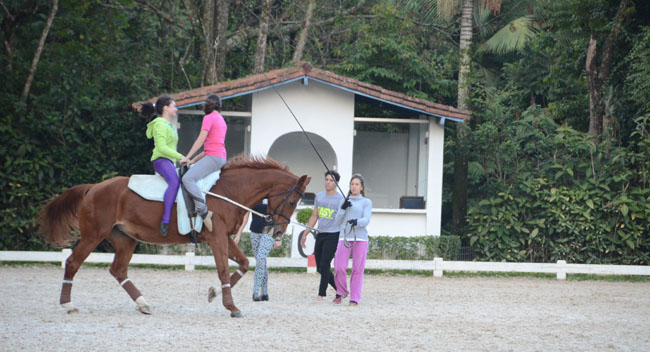 treino volteio02