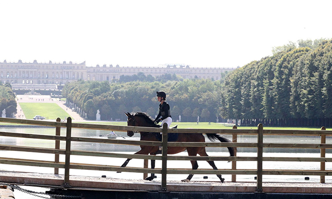 versailles fei650
