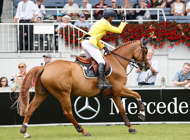 vitiki aachen650