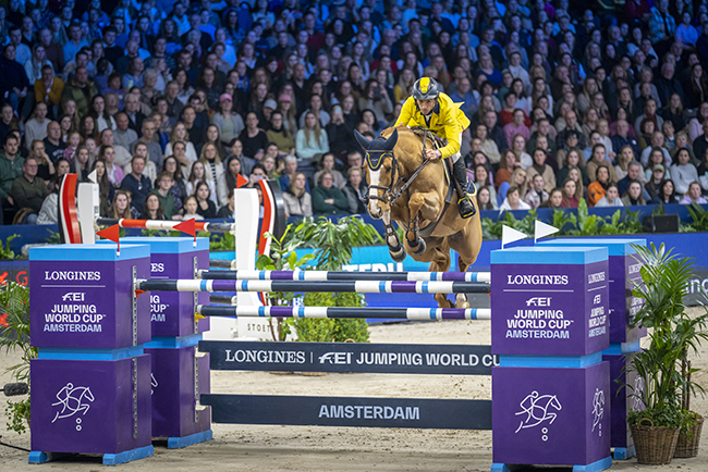 yuri mansur arndbronkst2901