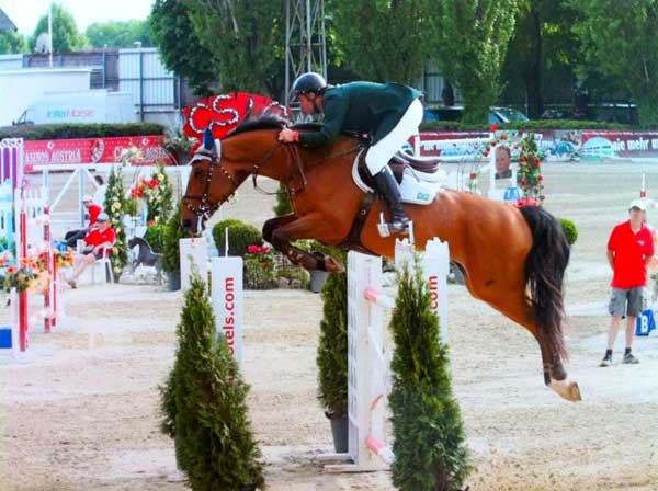 zeroberto600 austria